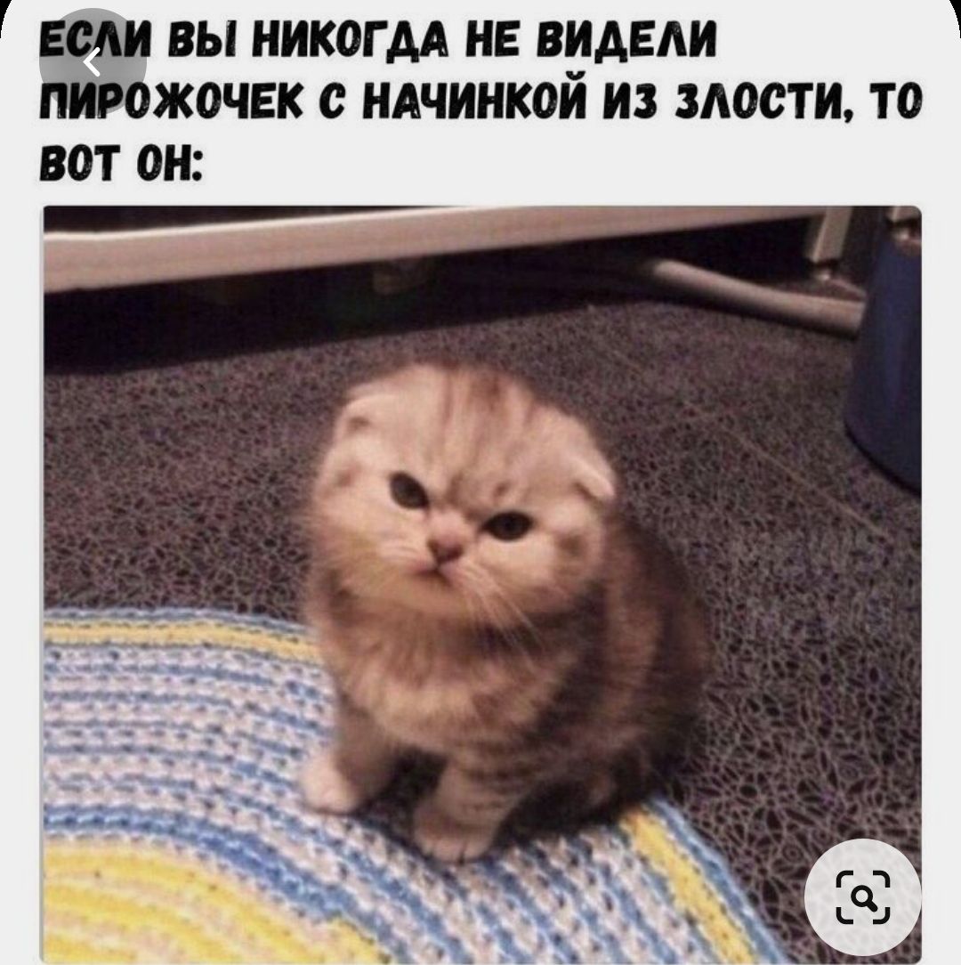 Я злюсь картинки