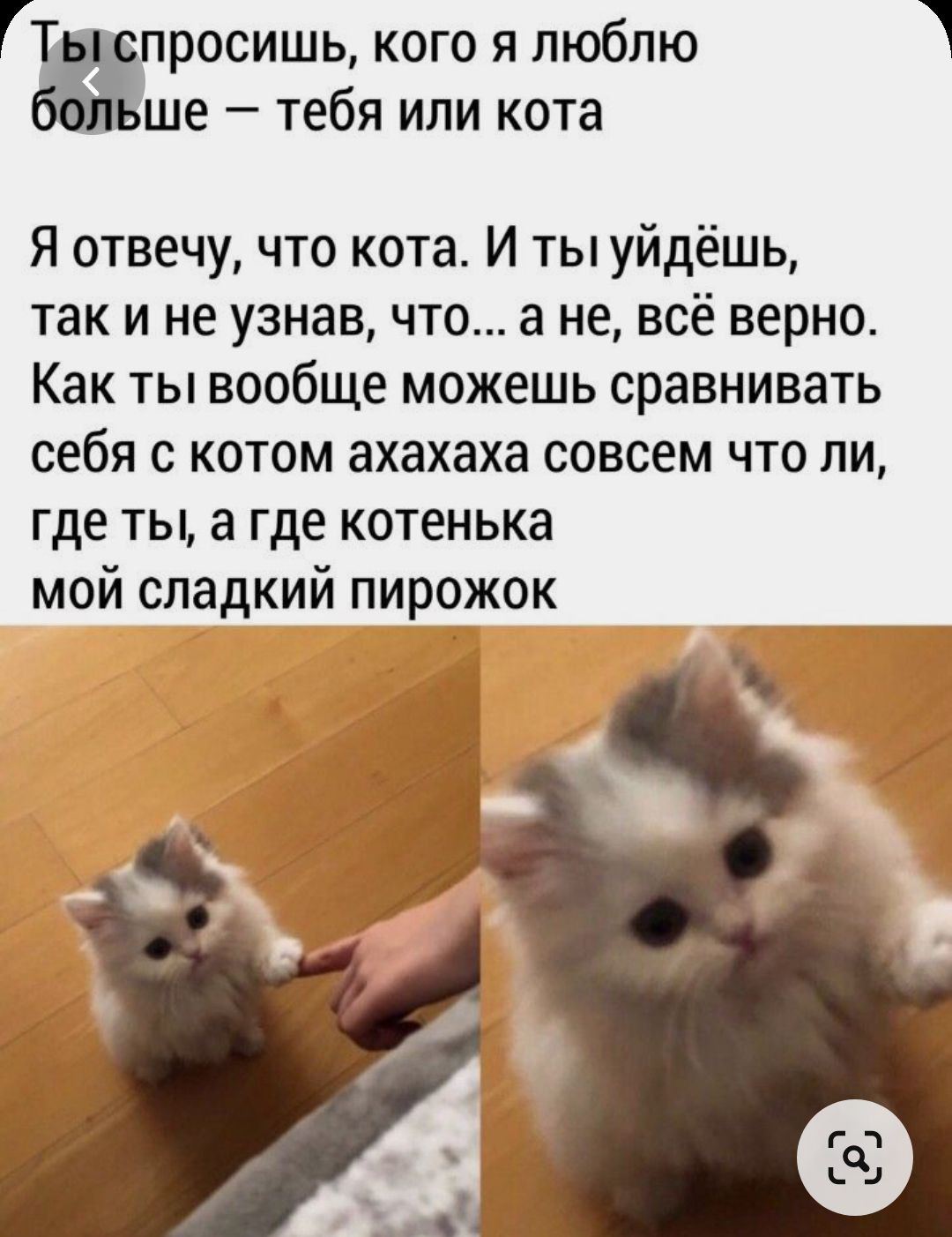 ГжПросишц кого я люблю ше тебя или кота Я отвечу что кота И ты уйдёшь так и не узнав что а не всё верно Как ты вообще можешь сравнивать себя с котом ахахаха совсем что ли где ты а где котенька мой сладкий пирожок