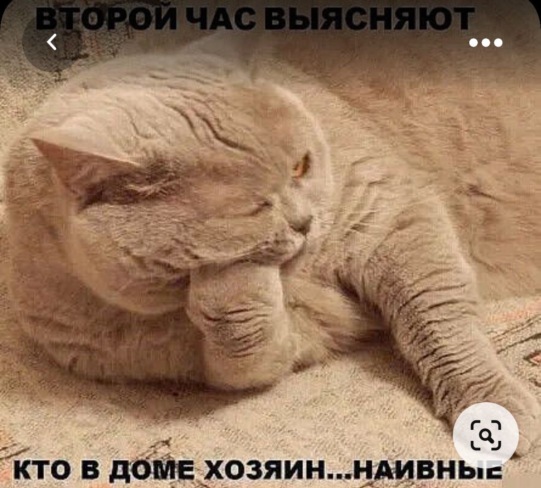 кто в доме хозяин ивнь