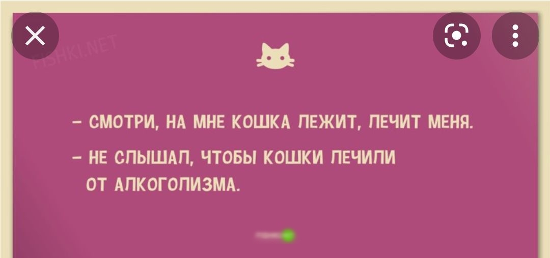 Х О Е СМОТРИ НА МНЕ КОШКА ПЕЖИТ ПЕЧИТ МЕНЯ НЕ СПЫШАП ЧТОБЫ КОШКИ ПЕЧИПИ ОТ АПКОГОПИЗМА