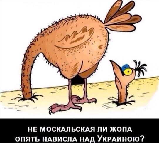 не мосКАпьсКАя пи ЖОПА ь НАвиспА НАД УКРАиною