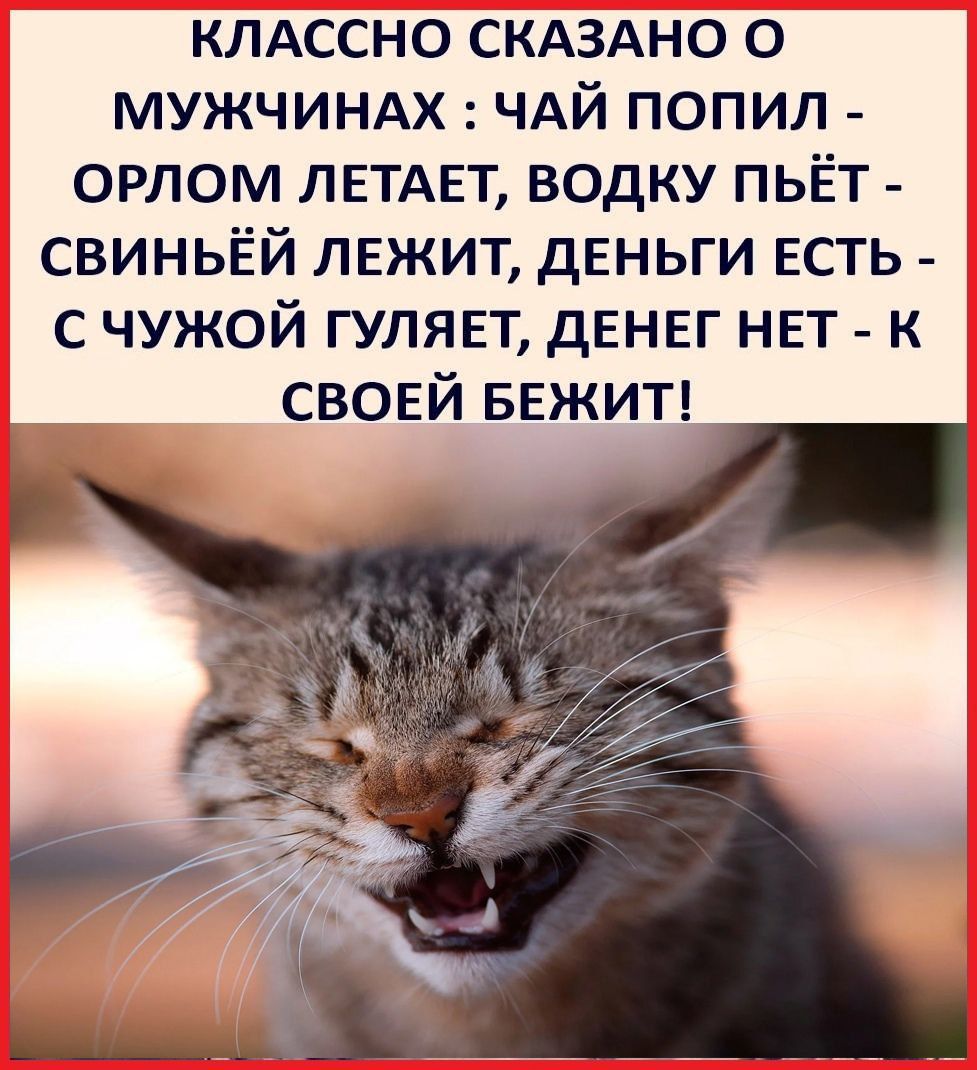 клдссно СКАЗАНО о мужчиндх ЧАЙ попил орлом ЛЕТАЕТ водку пьёт свиньёй лежит деньги ЕСТЬ с чужой гуляп дЕНЕГ нвт к своей БЕЖИТ
