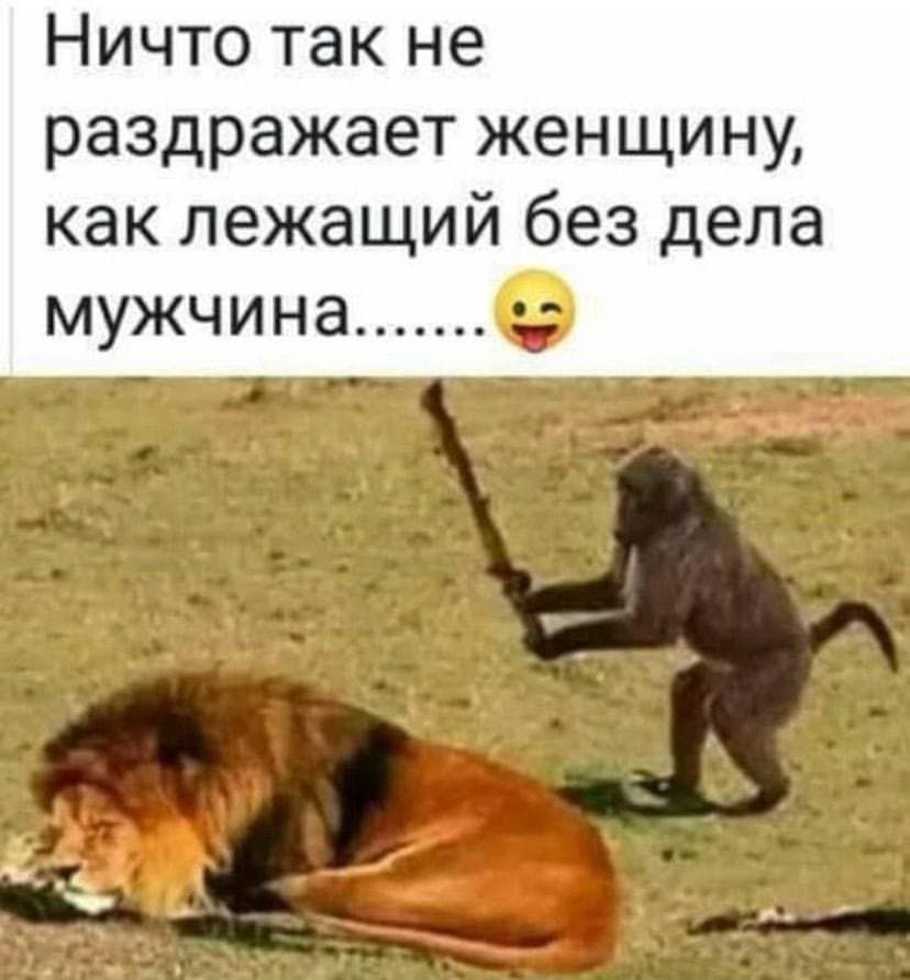 Ничто так не раздражает женщину как лежащий без дела мужчина