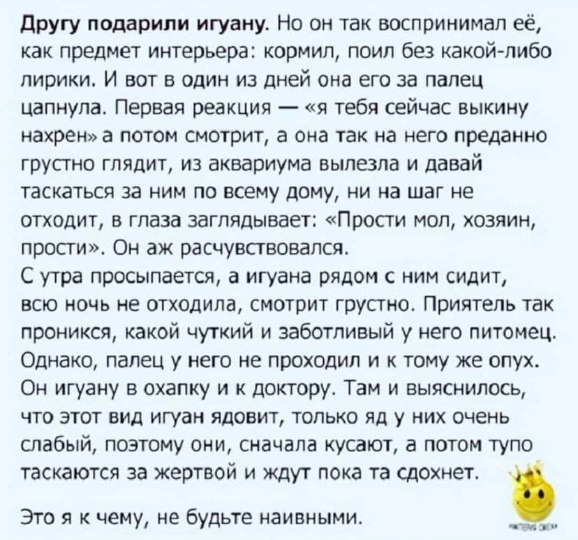 Другу подарили игуану Но он так воспринимал её как предмет интерьера кормил поил без какой либо лирики И вот в один из дней она его за палец цапнула Первая реакция я тебя сейчас выкину нахрен а потом смотрит а она так на него преданно грустно глядит из аквариума вылезла и давай таскаться за ним по всему дому ни на шаг не отходит в глаза заглядывает Прости мол хозяин просги Он аж расчувсгвовался С 