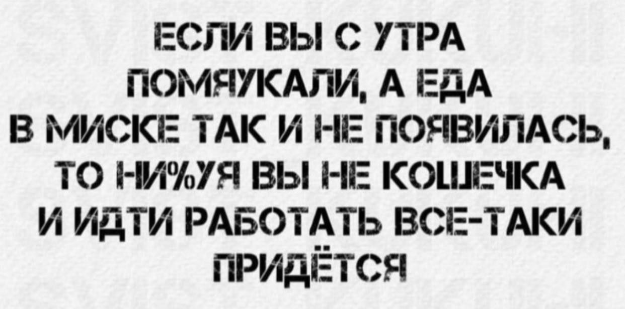 если вы с ПРА помяжти А ЕДА в мискпг ТАК и НЕ ПОЯВИЛАСЬ то нишя вы НЕ КОШЕЧКА и идти РАБОТАТЬ ВСЕ ТАКИ придётся