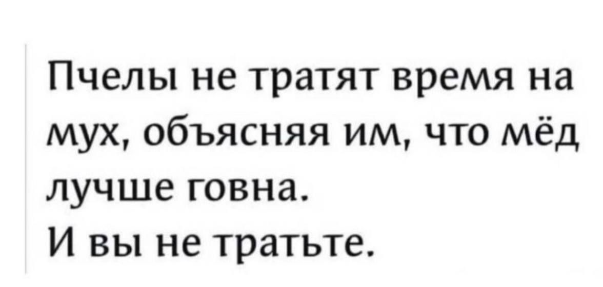 Пчелы не тратят время на мух объясняя им что мёд лучше говна И вы не тратьте