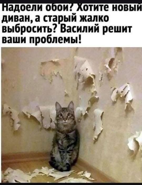 Надоели ОБОИ ХОТИТЕ НОВЫМ диван а старый жалко выбросить Василий решит оаши проблемы Ъ у 1