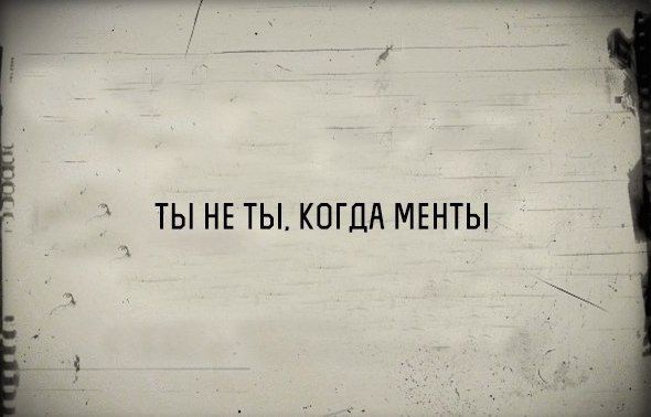 ты неты, когда менты