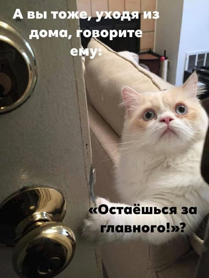 А вы то:   дома,
