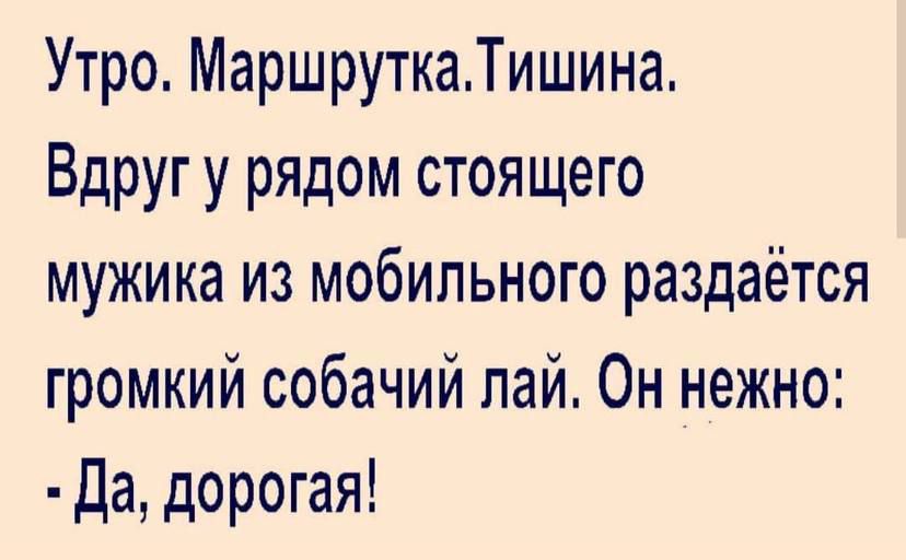 Утро МаршруткаТишина Вдругу рядом стоящего мужика из мобильного раздаётся громкий собачий пай Он нежно Да дорогая