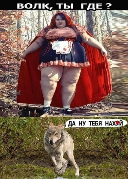 Волк, ты ггде ?