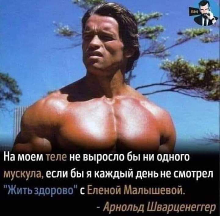 На моем теле не выросло бы ни одного мускула если бы я каждый день не смотрел с іг ігпг с Еленой Малышевои Арнольд Шварценеггер