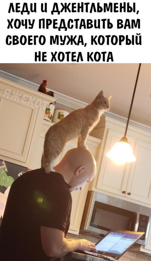 АЕДЦ дЖЕНТАЬМЕНЫ ХОЧУ ПРЕДОТАВЦТЪ ВАМ СВОЕГО МУЖА КОТОРЫЙ НЕ ХОТЕА КОТА