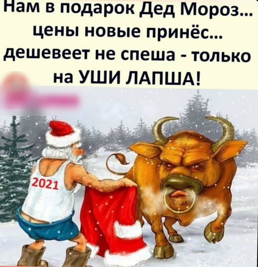 Нам в подарок дед Мороз цены новые принёс дешевеет не спеша только на уши ЛАПША