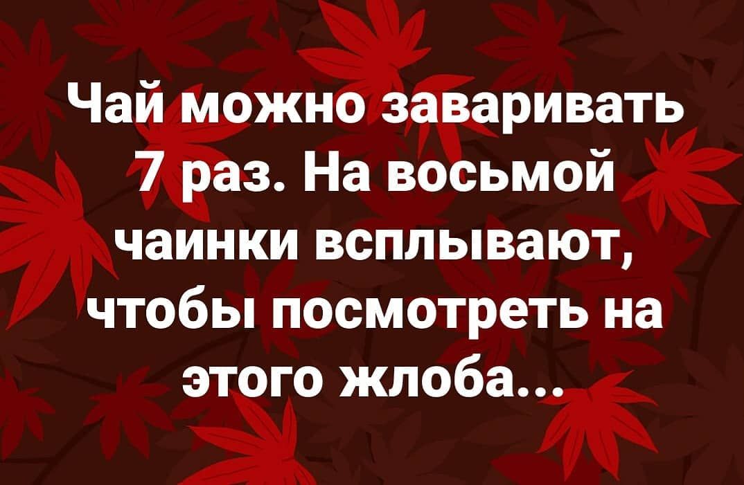 Ча аривать Жанё На во ьмой чаинки всплывают чтобы посмотреть на этого жлоба