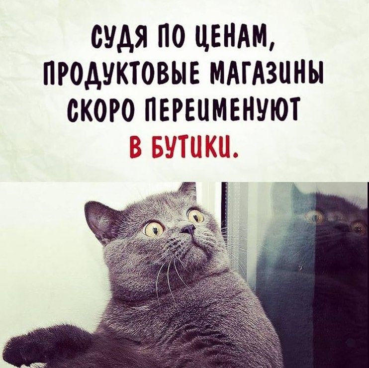 СУДЯ ПО ЦЕНАМ ПРОДУКТОВЫЕ МАГАЗИНЫ СКОРО ПЕРЕЦМЕНУЮТ В БЁЩГШКЪЪ