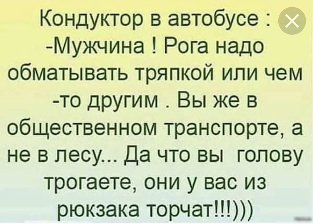Кондуктор в автобусе Мужчина Рога надо обматывать тряпкой или чем то другим Вы же в общественном транспорте а не в лесу Да что вы голову трогаете они у вас из рюкзака торчат