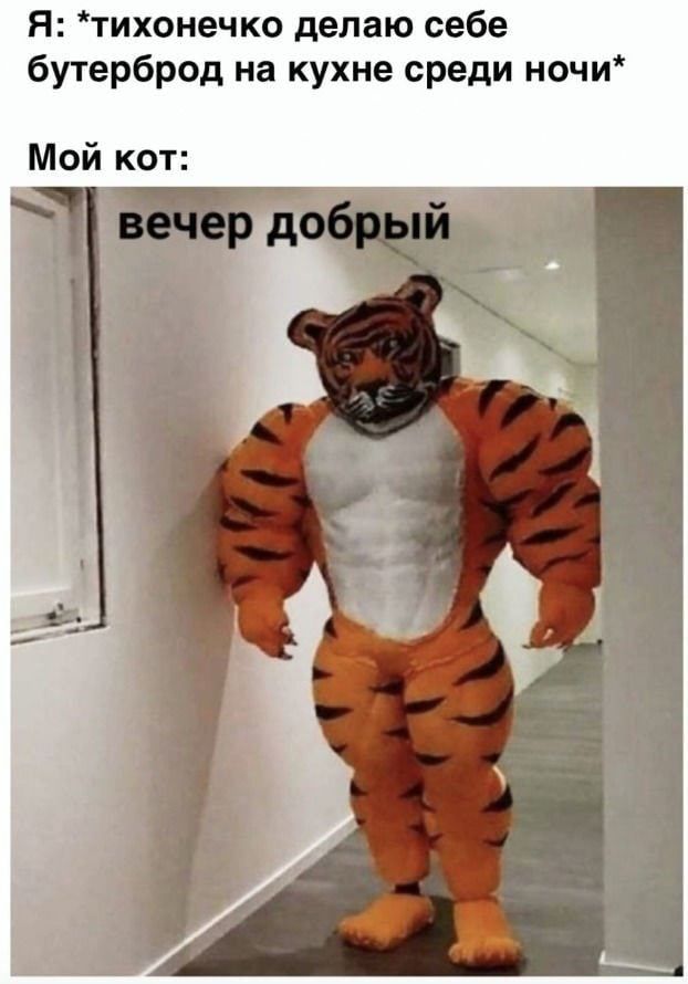 Я тихонечко делаю себе бутерброд на кухне среди ночи Мой кот Ч добрчй