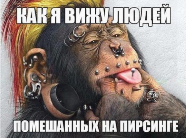 Накя визжутюдей ' помешанных на пирсинге