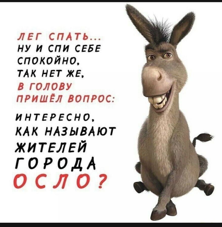 ЛЕГ СПАТЬ НУ И СПИ СЕБЕ СПОКОЙНО ТАК НЕТ ЖЕ В ГОЛОВУ ПРИШЁЛ ВОПРОС интересно КАК НАЗЫВАЮТ ЖИТЕЛЕЙ Г9д___ и о