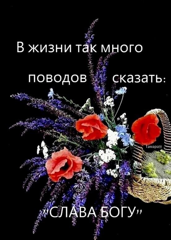 В жизни так много 1 поводов казатьд