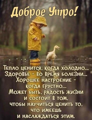 ТЕПЛО цвиится к т хоііоіхно Здоровь Во Вр волнЗни Хор Е илстроннив грустно Можьт гёдость жи3ни и оит том чтовы нся ценить то что имвяшь и идсмжмться этим