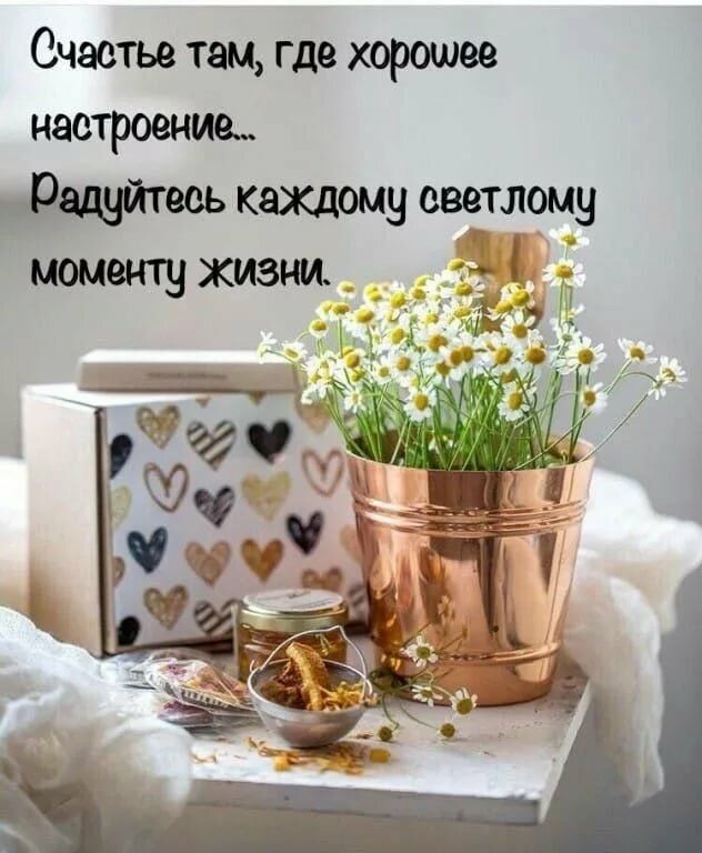 Счастье там где хорошее настроение каждому еветлому моменту жизни _