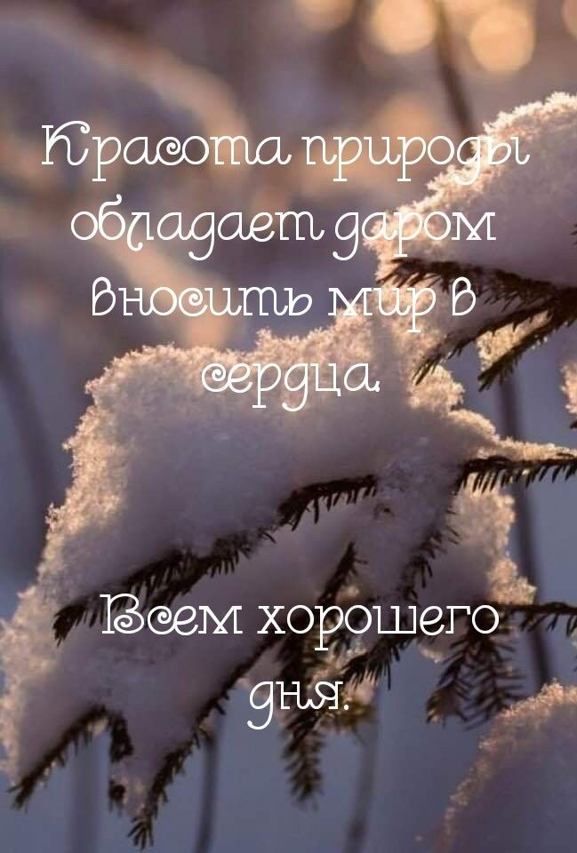 Базам хорфшего _