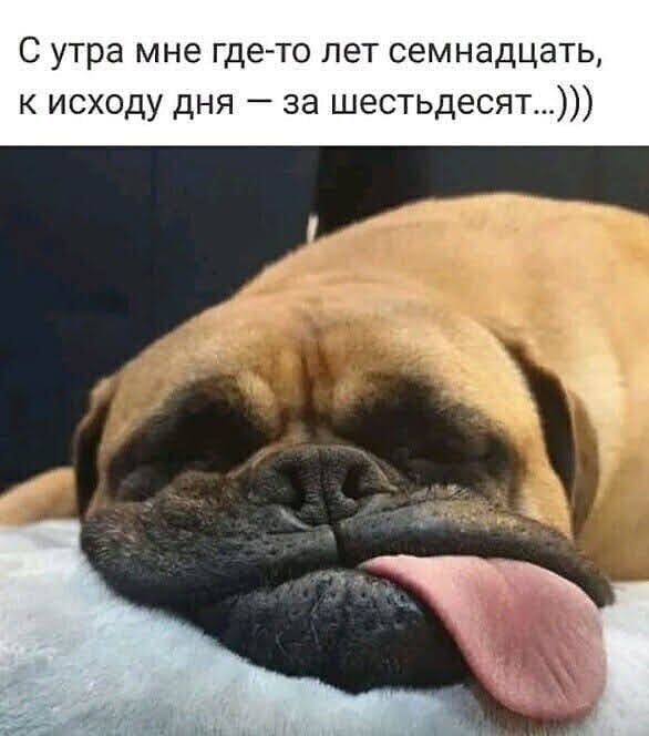С утра мне гдето пет семнадцать к исходу дня за шестьдесят_