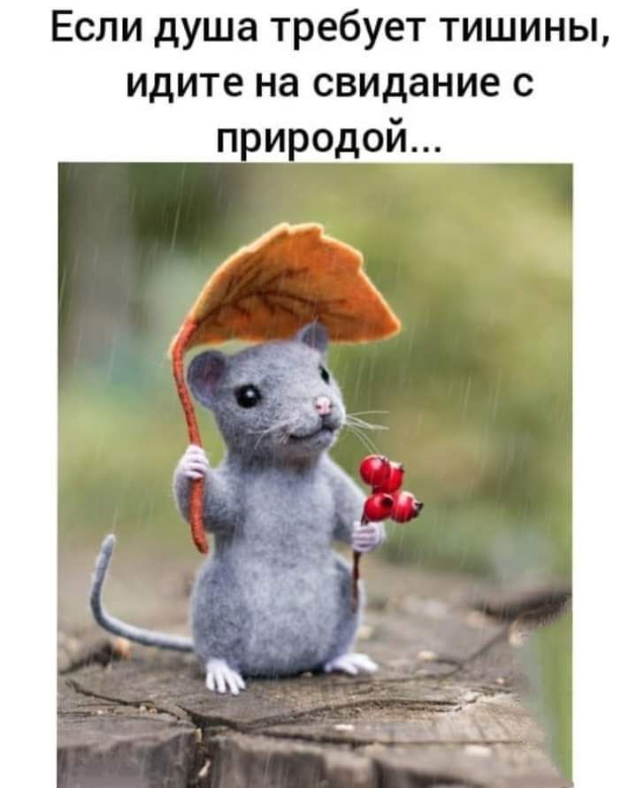 Если душа требует тишины идите на свидание с