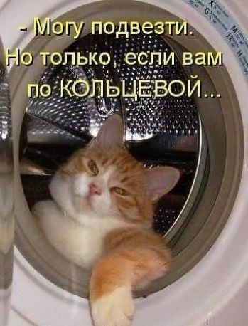 еду подвезт