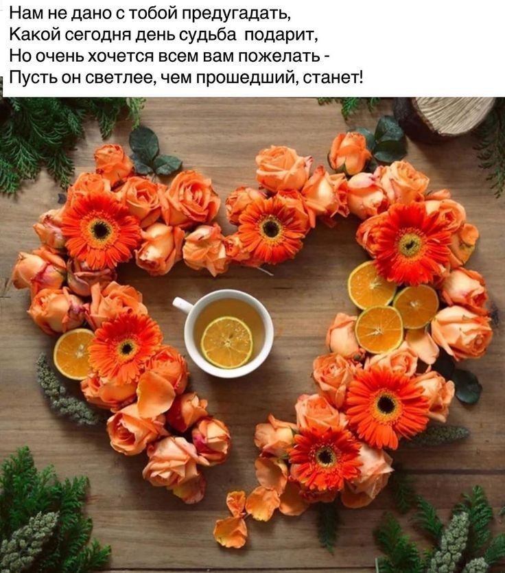 Нам не дано с тобой предугадать Какой сегодня день судьба подарит Но очень хочется всем вам пожелать Пусть он светлее чем прошедший станет
