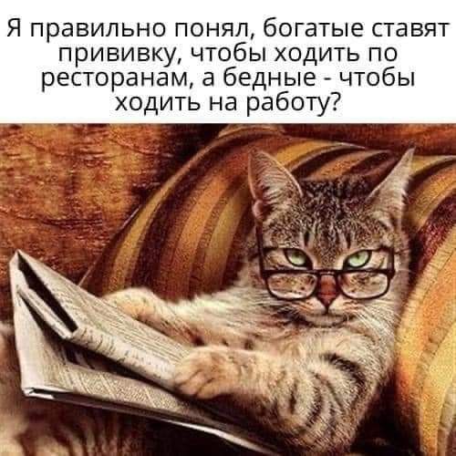 Я правильно понял богатые ставят прививку чтобы ходить по ресторанам а бедные чтобы ходить на работу
