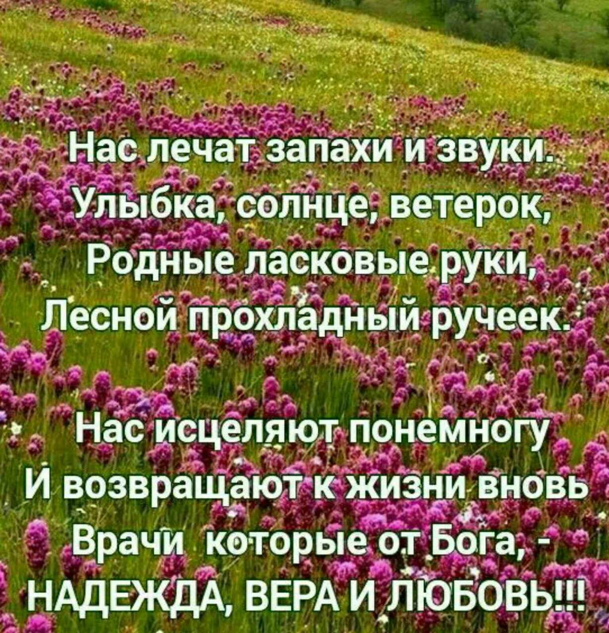___ 154 5 Це еерок г й ЛТЗ ЁЁТ _ Родные сковь ерукидгд_р г в Ад Леснои прбхладньіи М и т или Нас сдёітйют подёйёгужі Кц Е ёж _ И возвращают жизни 5035 Ф врачи Которьі отівзд ЦАдЕЖДАвЕв __и_л___ _в Будд Ён