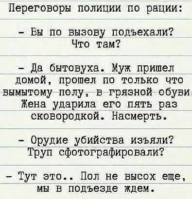 Переговоры полиции по рации Вы по вызову подъехали Что там да бытовуха Муж пришел домой прошел ПО ТОЛЬКП ЧТО вымытому полу в грязной обуви Жена ударила его пять раз сковороцкой Насмерть Тут это Пол не высох еще мы в подъезде ждем