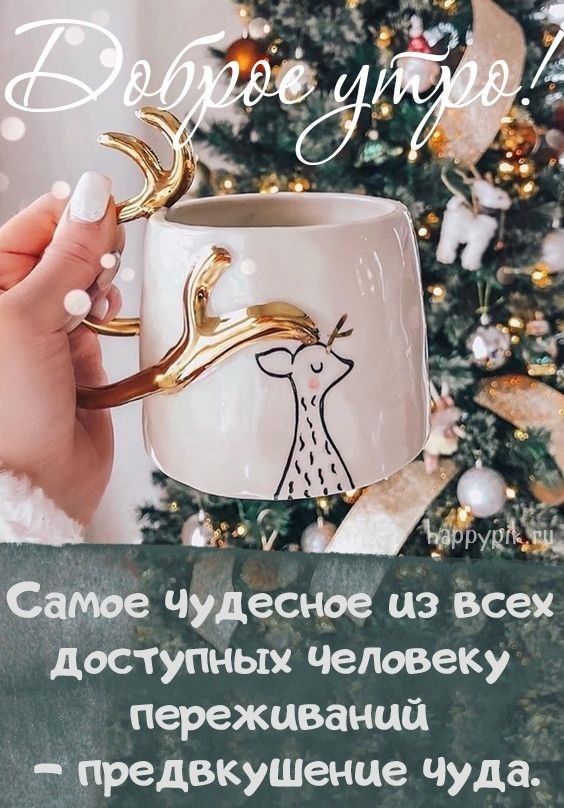Чудесноё цз Всех ддступных Чедовеку _ переживаний _ Ёлредвкушенце Чуда