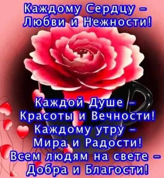 КаждойДУше Красотыи Вечности _ Каждому утру Мираъи Радости