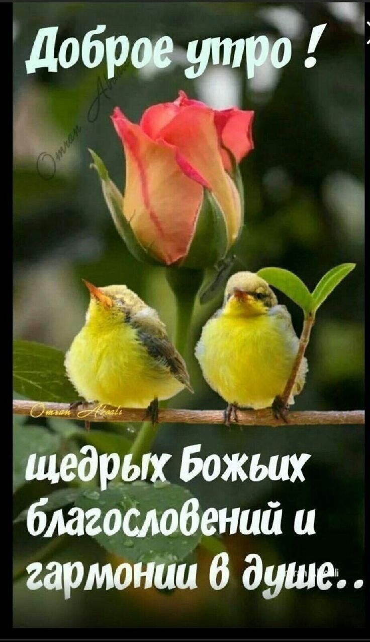 щедрых Божьих благослобений и гармонии В душе