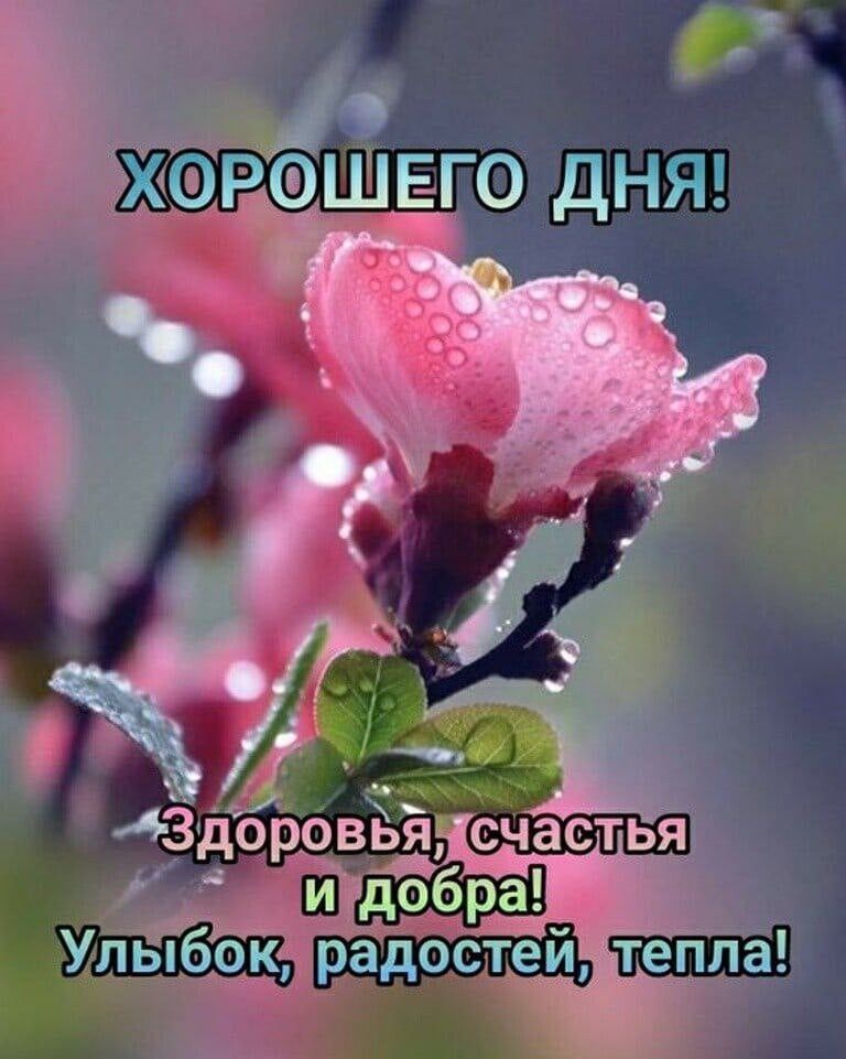 уетйй Р ШЕГО ДНЯ