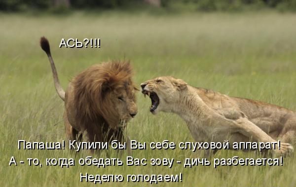 АЗЫШ Вы Байа пу ні гл шауыциш ша еп ЛЮ шлиц гм