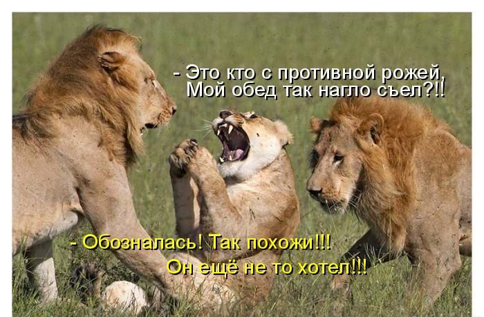 Это_кто противной рожей Мои обед так нагпо съел
