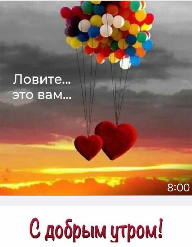 Ловите это вам 800 С добрым утром