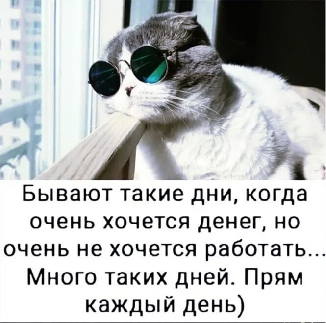 Бывают такие дни когда очень хочется денег но очень не хочется работать Много таких дней Прям каждый день