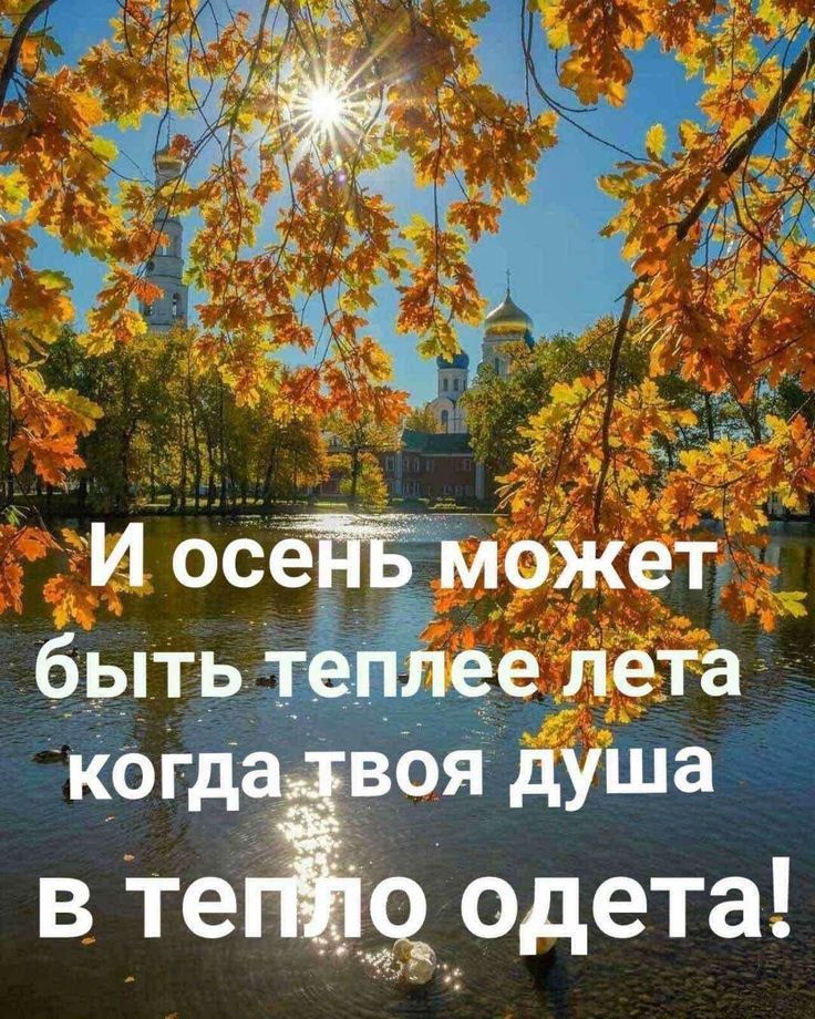 вТе одета