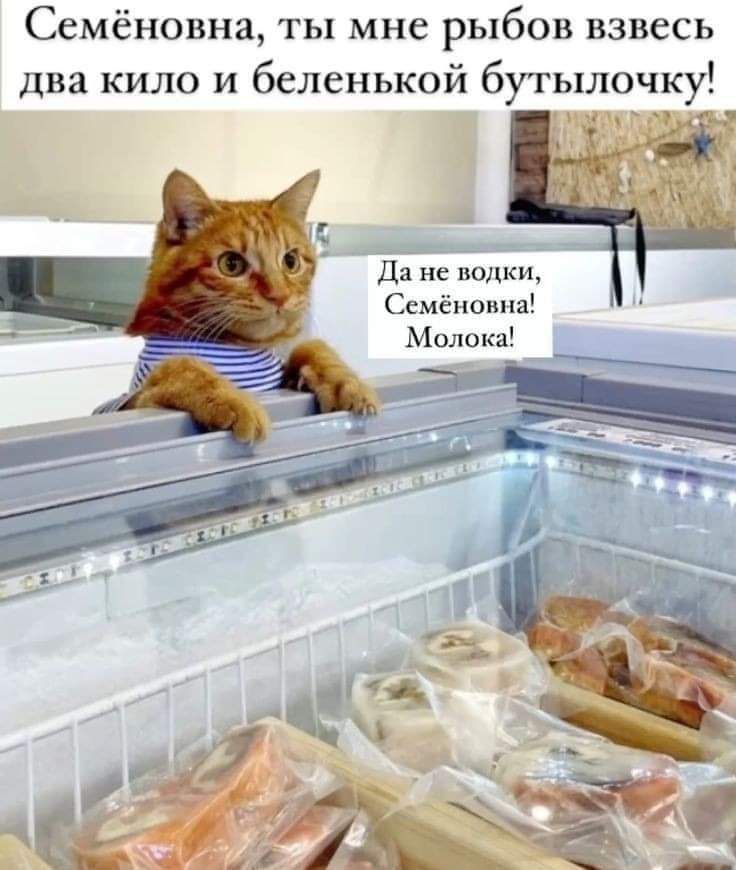 Семёновна ты мне рыбов взвесь два кило и беленькой бутылочку Да не попки Ссмёпоипа мы