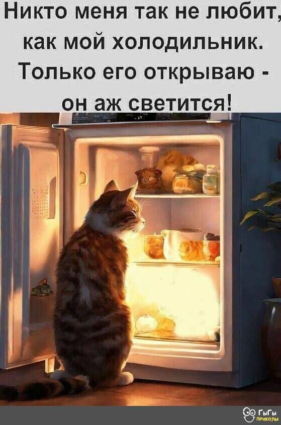 НИКТО меня так не ЛЮбИТ как мой холодильник Только его открываю он аж светится 50