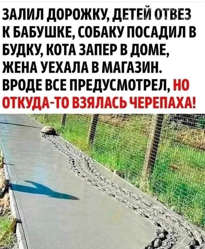 ЗАЛИЛ ДОРОЖКУ ДЕТЕЙ ОТВЕЗ К БАБУШКЕ СОБАКУ ПОСАДИЛ В БУДКУ КОТА ЗАПЕР В ДОМЕ ЖЕНА УЕХАЛА В МАГАЗИН ВРОДЕ ВСЕ ПРЕДУСМОТРЕЛ НО ОТКУДА ТО ВЗЯЛАСЬ ЧЕРЕПАХА оРВЕМТЕСИ