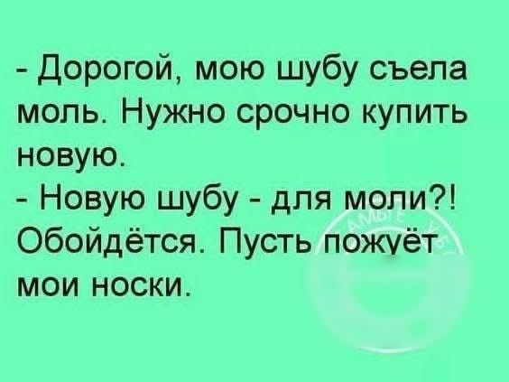 Дорогой мою шубу съела моль Нужно срочно купить новую Новую шубу для моли Обойдётся Пусть пожуёт мои носки