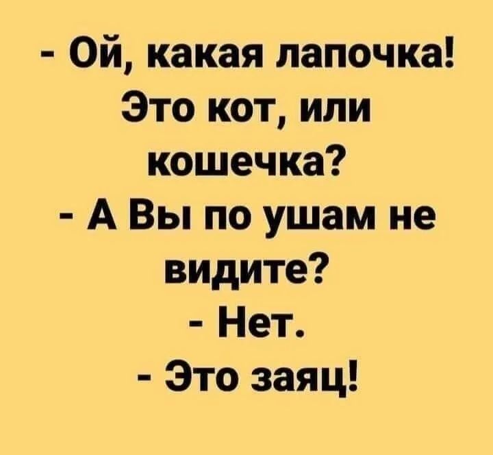 - Ой, какая лапочка! Это кот, или кошечка? - А Вы по ушам не видите? - Нет. - Это заяц!