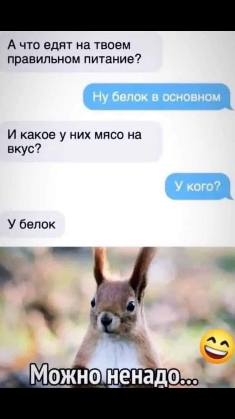 А что едят на твоём правильном питании? Ну белок в основном. И какое у них мясо на вкус? У кого? У белок. Можно не надо...